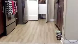 Anal Masturbation In The Kitchen On Cam